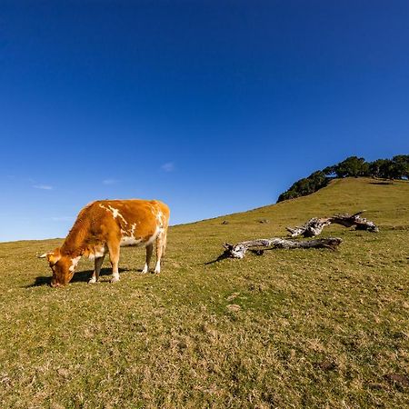 Recanto Das Florencas Arco da Calheta  Esterno foto